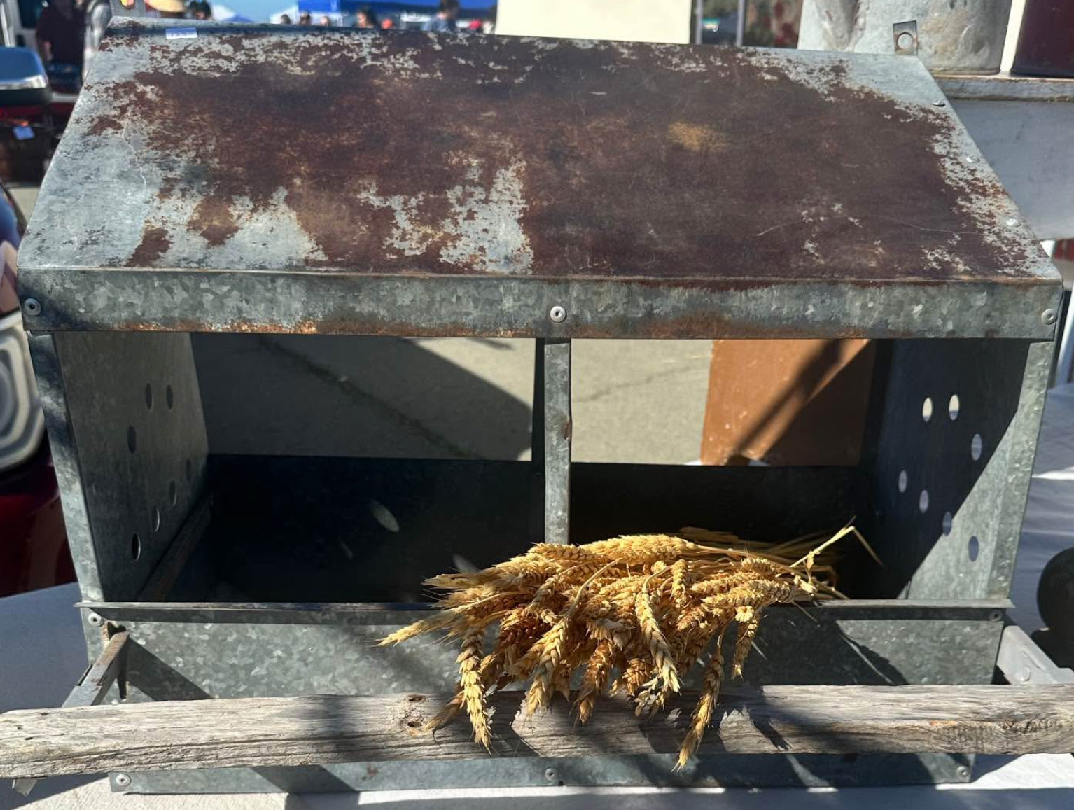 Chicken Nester - 2 Hole