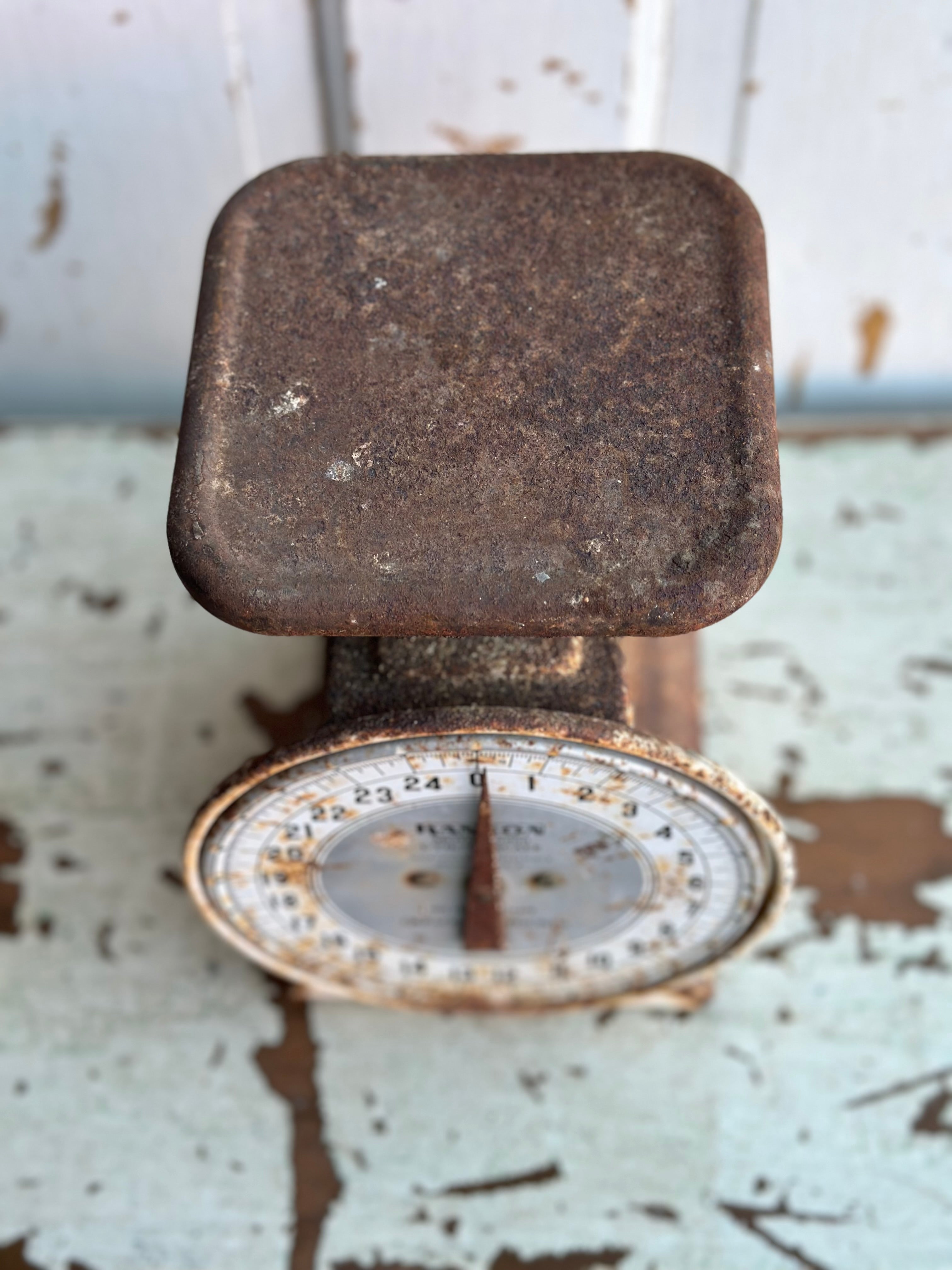 Kitchen Scale