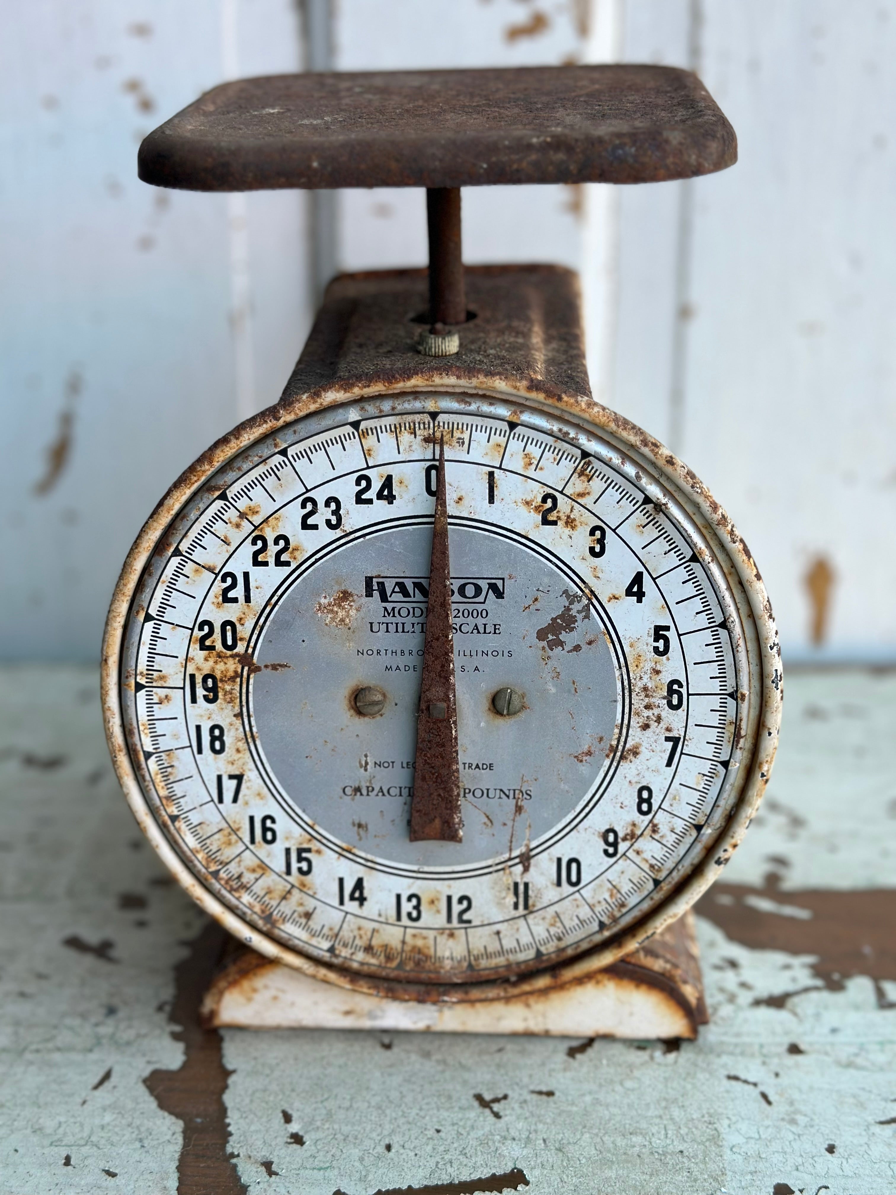 Kitchen Scale