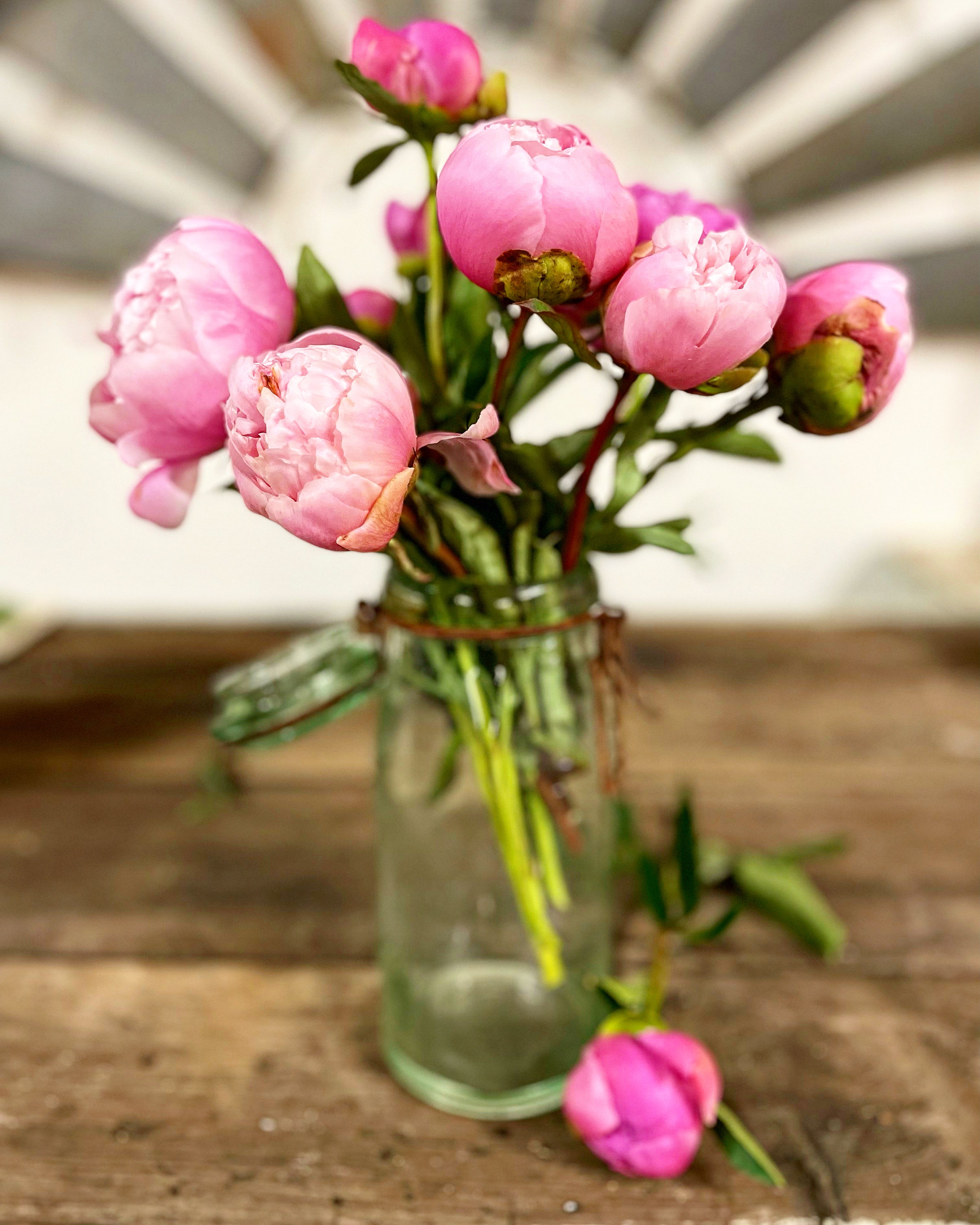 Preserve Jars - Light Blue