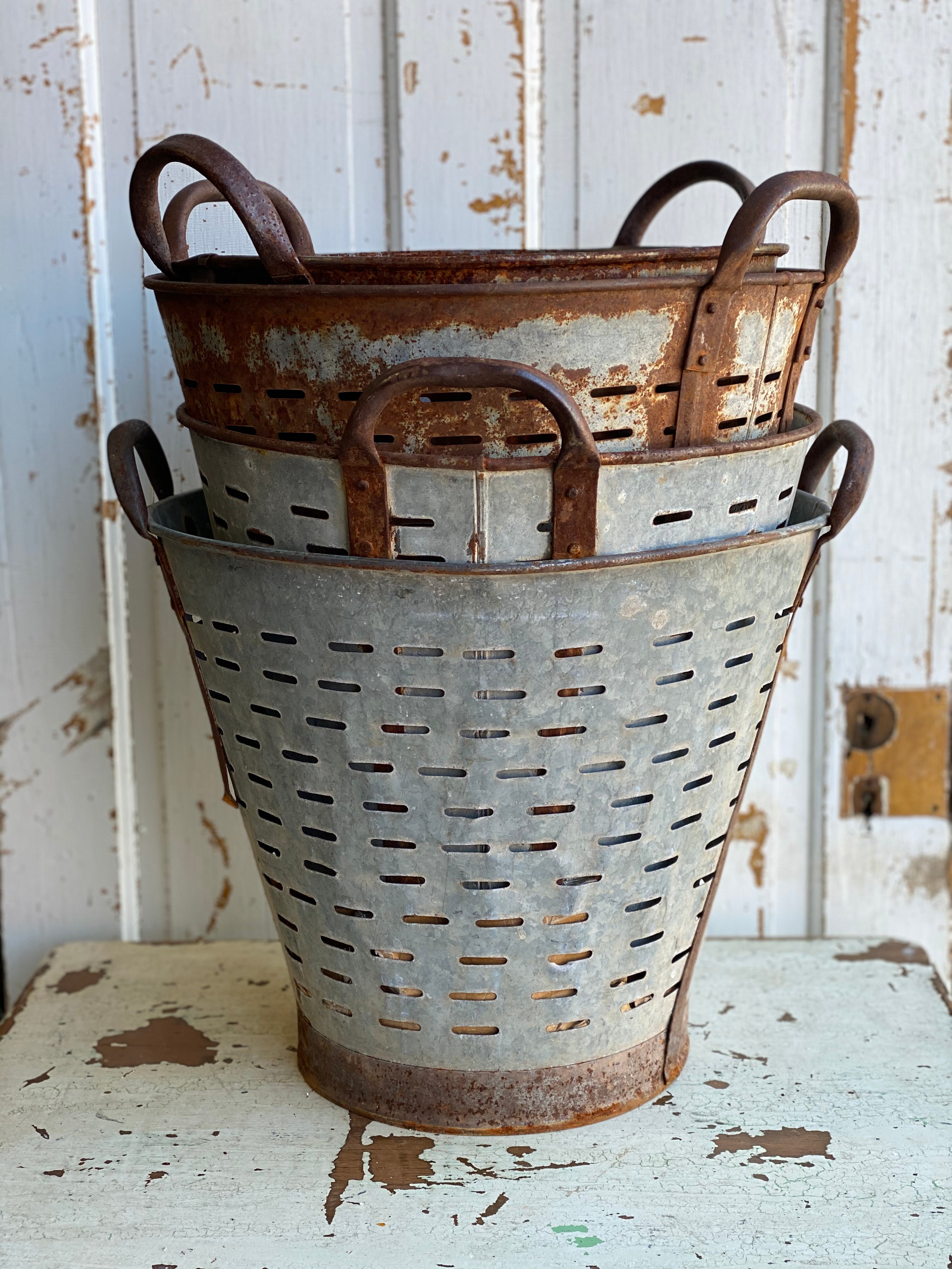European Olive Buckets