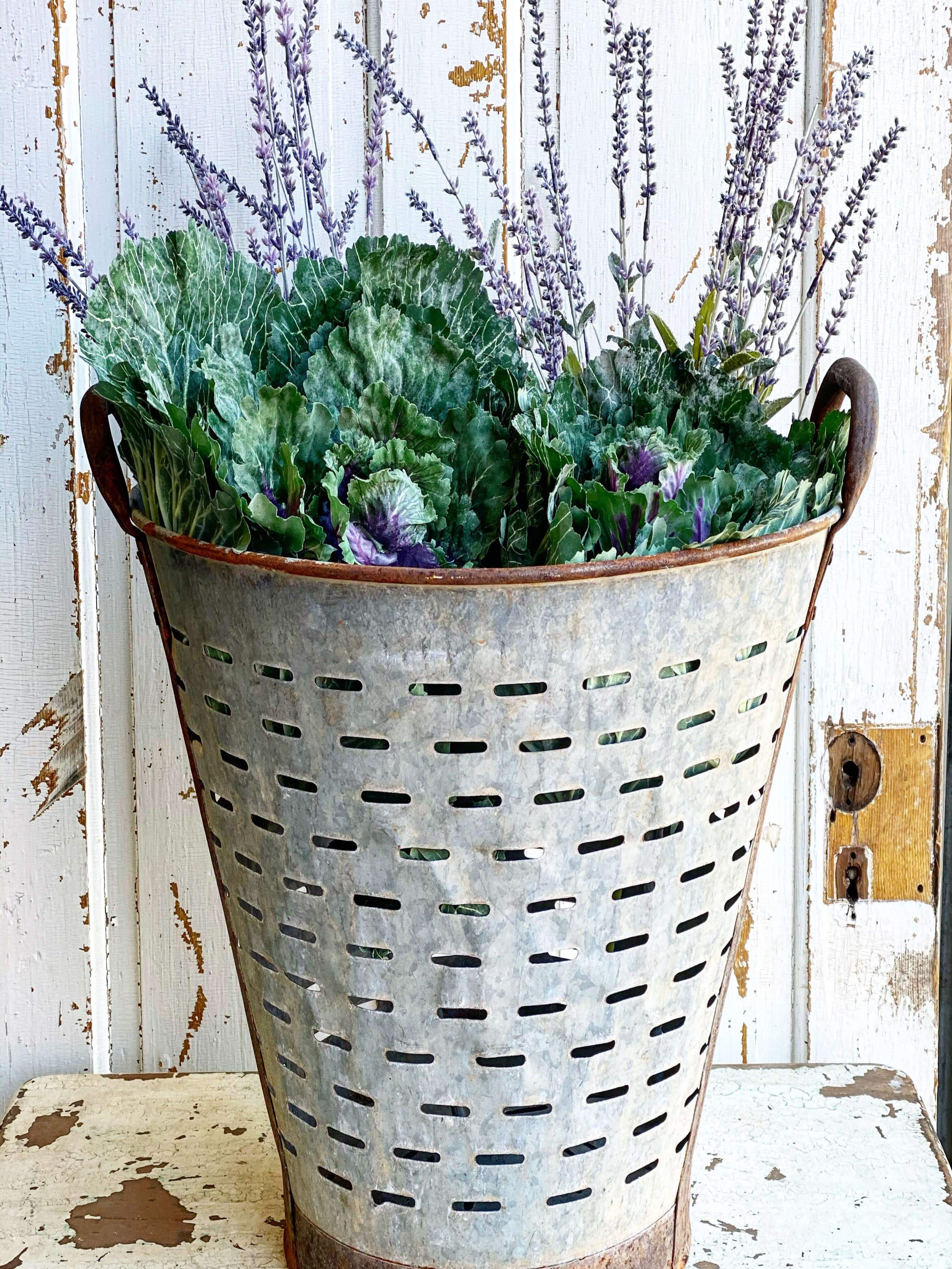 European Olive Buckets