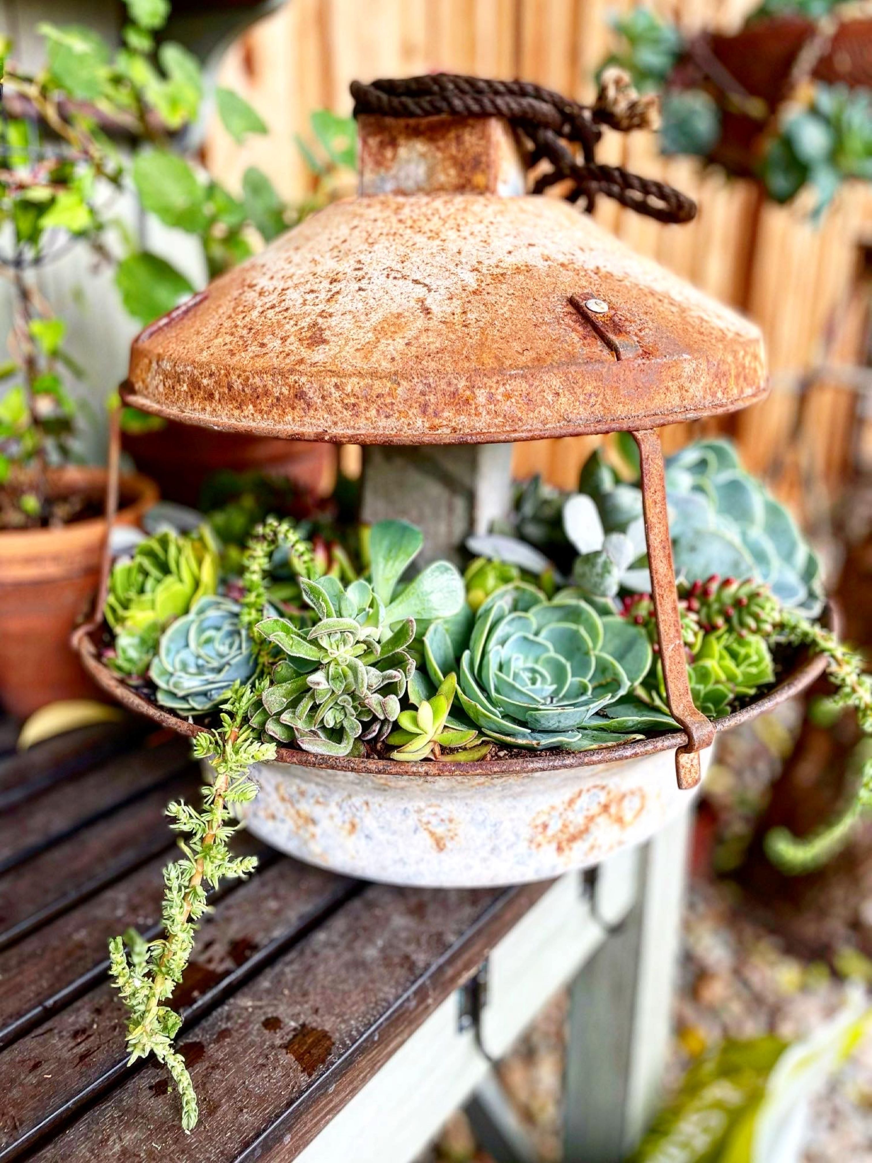 Turkey Feeder - 3 Piece